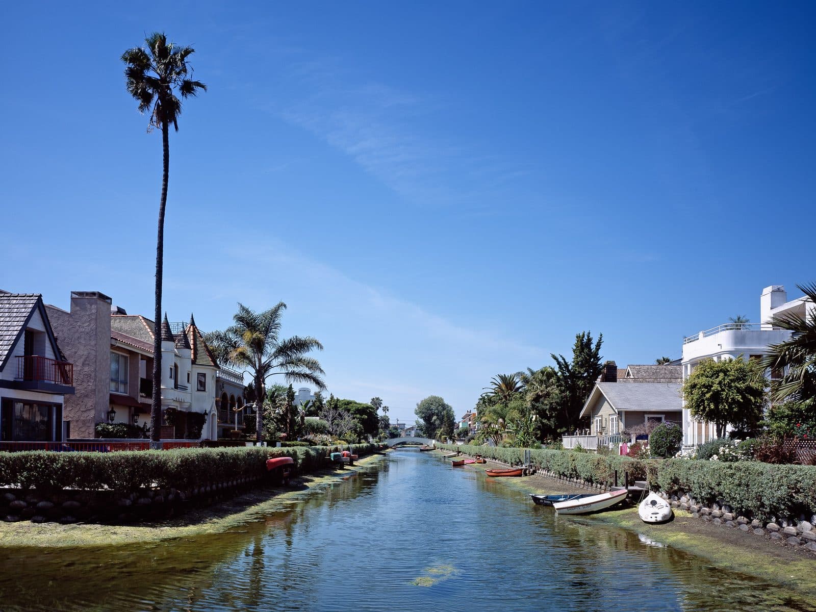 Mobile car detailing in Venice Beach — Venice Canals Palm trees and homes along the Venice Canals in Venice Beach, Los Angeles, on a sunny day